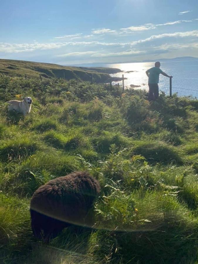 Unique Luxurious Cabin On Sea View Working Croft Garrabost 外观 照片